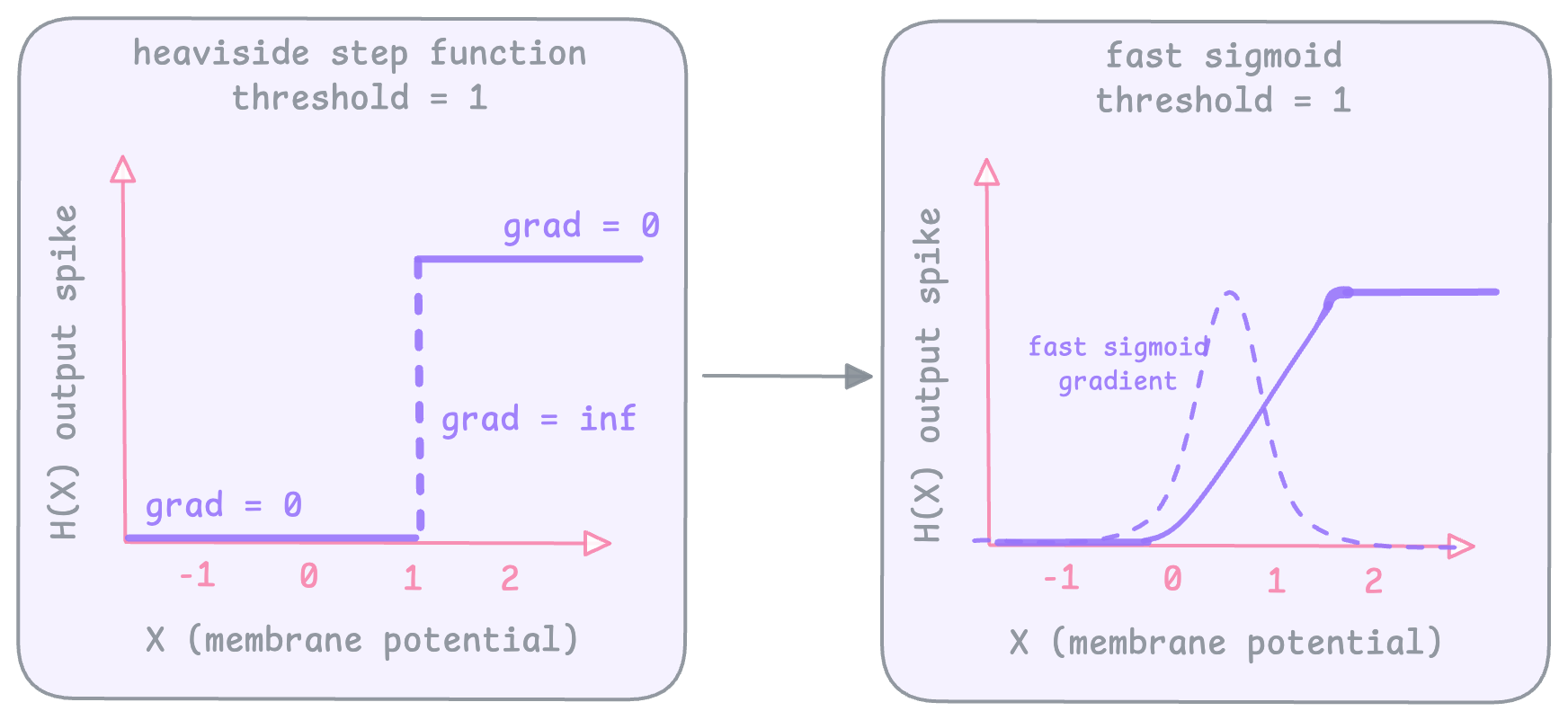 Description of the image