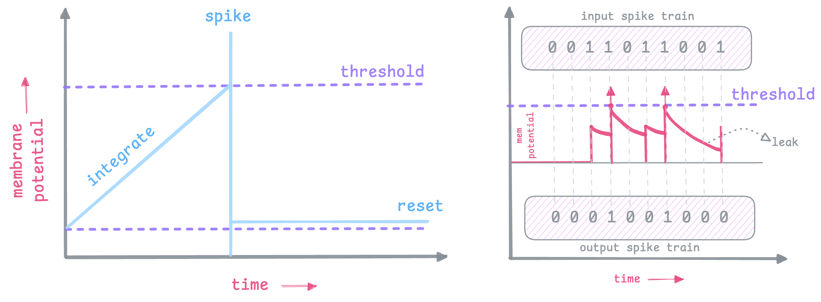 Description of the image